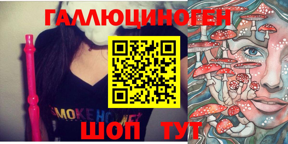 как найти закладки  Вход с VPN  Унеча  Псилоцибиновые грибы мицелий  Псилоцибиновые грибы мицелий 